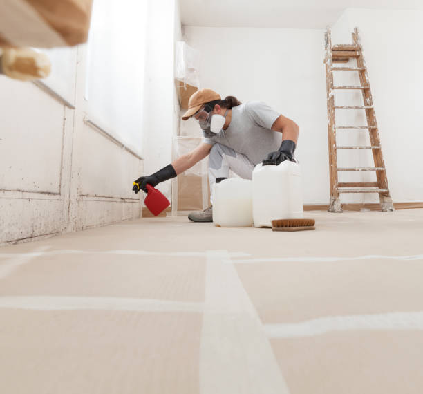 Trusted Newville, PA Mold Removal Experts